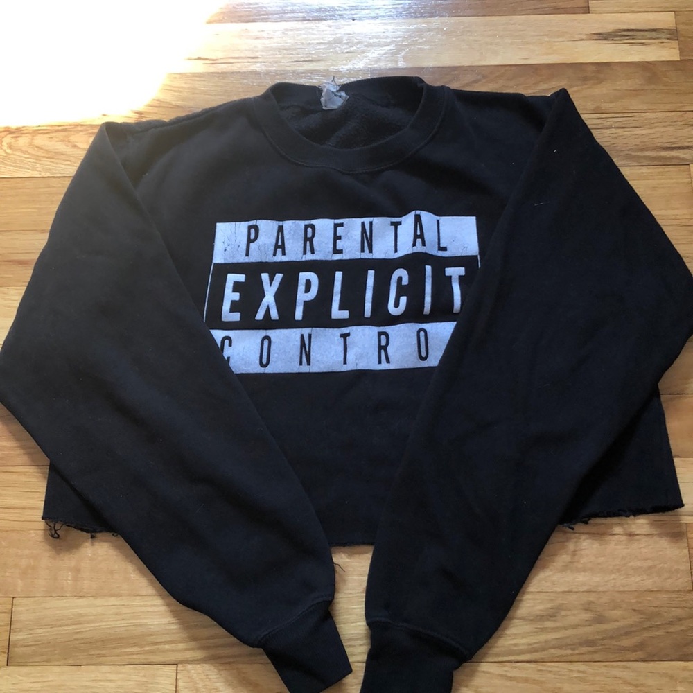 BRANDY MELVILLE PARENTAL CONTROL CROPPED SWEATER